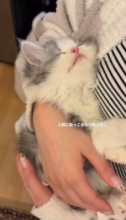 飼い主さんに抱っこされて眠るてん君