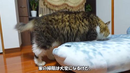 掃除は大変になるけど