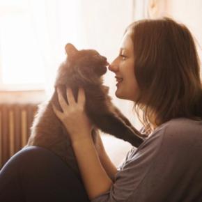 猫と人間の間で感染する『人獣共通感染症』4つ　表れる症状や避けるべき行為も解説