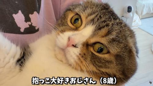テロップ「抱っこ大好き～」