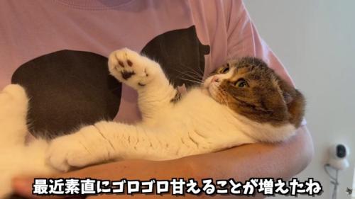 テロップ「最近素直に～」