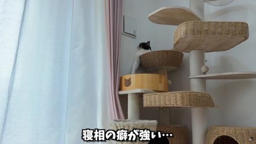 テロップ「寝相の癖が～」