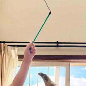 家に来て3日目の子猫→おもちゃで遊んでいるところを撮ったら…幸せあふれる光景に「めっちゃいい瞬間!」「躍動感ありすぎ」と43万表示