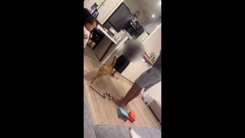 歩いてくる姿