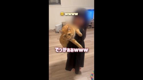 でっかぁぁ