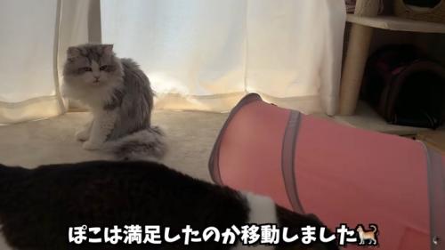 テロップ「ぽこは満足したのか～」