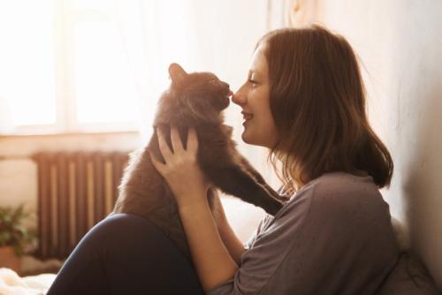 猫と人