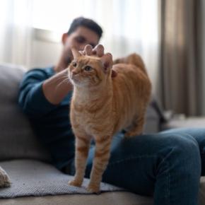 猫から『モテる』ために試したい５つの方法　好まれる人の条件とは？避けるべきNG行為も