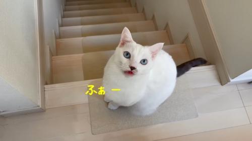 ふぁー