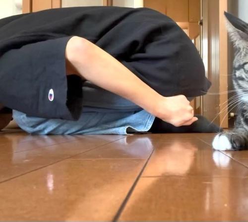 足を痛がっている飼い主