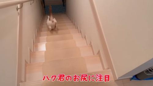 お尻に注目