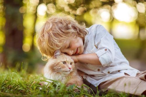 猫をかわいがる少年