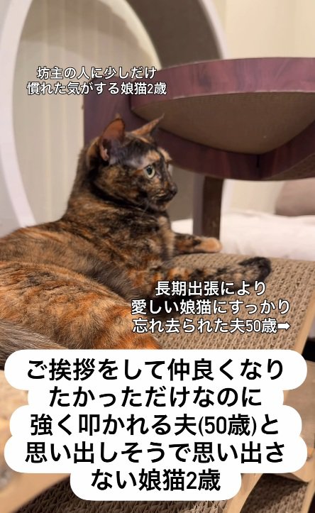 忘れた