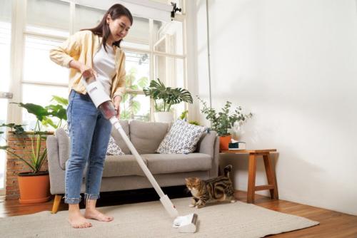 部屋に掃除機をかける飼い主と猫