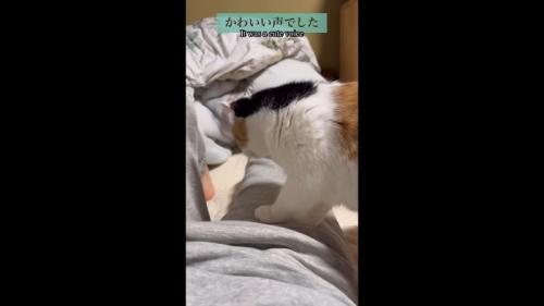 かわいい声でした