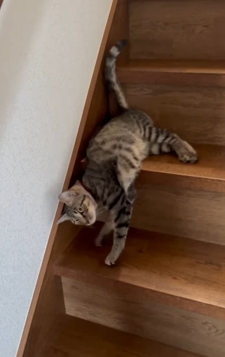 嬉しい
