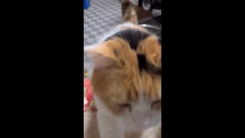 超接近
