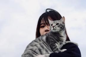 本日の美人猫vol.402