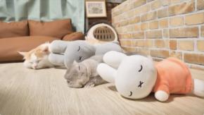 川の字で仲よく眠るウサギと猫、保育園のような空気で