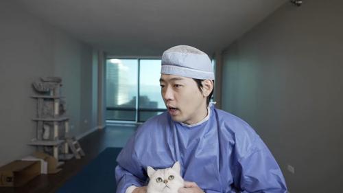絶対に聞き逃さないあの名前、猫は聞いたよ目で丸わかり