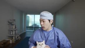 絶対に聞き逃さないあの名前、猫は聞いたよ目で丸わかり