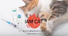 治験の次はネーミング。AIM猫薬の販売名の公募がスタート