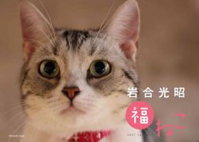 立ち上がる猫にも福来たる、岩合さんの猫写真カレンダー2027が登場