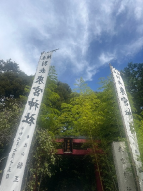 パワースポットで元気チャージ！熱海・来宮神社にそびえる樹齢2100年超の大楠に会いに行く半日旅