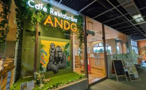 【道の駅 川口・あんぎょう】緑の上に広がる癒し空間でランチを。「アンジー（ANDG）」で味わう、やさしい日替わりごはん