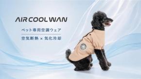 ワンちゃんも暑い！は夏の合言葉。愛犬を守る最新の暑さ対策グッズ3選