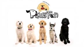 “もふもふ”に癒される日常を 大型犬カフェ「PawsFan」で過ごす特別なひととき