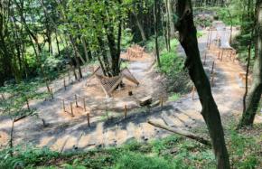 東京電機大学ら3大学の学生がつくる“アートの森” 木と人をつなぐ「Wood Structure Artの森」プロジェクト