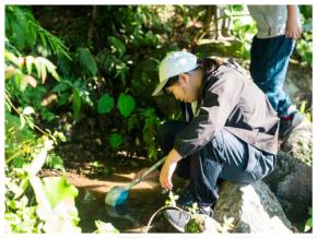 自然体験の減少に向き合う 日本自然保護協会とアラムコが奄美で育む次世代のまなざし