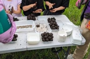 上板橋駅前をみんなで育てる「かみいたねプロジェクト」タネ植えイベント開催(板橋区)
