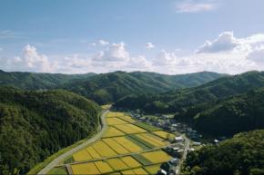 【京丹波町×一橋大学】学生たちが描いた “帰りたくなる町” の風景とは