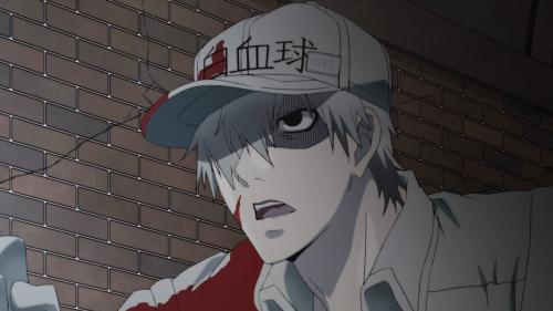 1146番