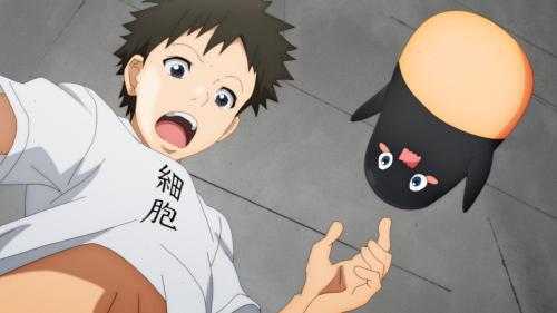一般細胞