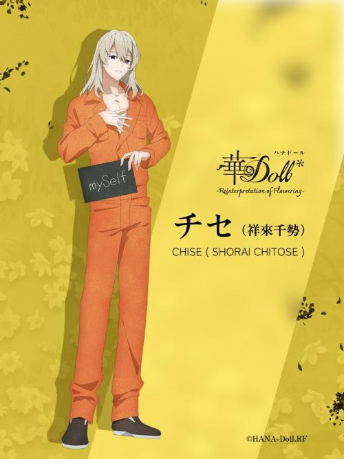 第5位：『華Doll*』チセ〈祥來千勢〉