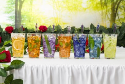 『ディズニー ツイステッドワンダーランド ザ アニメーション』OH MY CAFE&nbsp;ドリンク