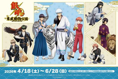 TVアニメ「銀魂」×東武動物公園 コラボイベントメインビジュアル