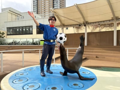 名探偵コナン サンシャイン水族館 コラボパフォーマンス