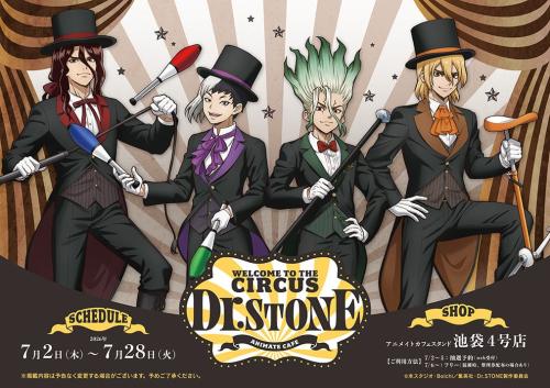 WELCOME TO THE CIRCUS Dr.STONE ANIMATE CAFE キービジュアル