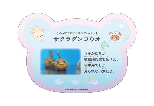 リラックマ サクラダンゴウオ解説パネル