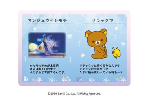 リラックマ オリジナル解説パネル