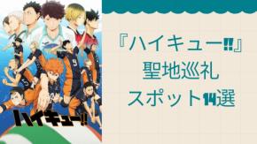 『ハイキュー!!』聖地巡礼スポット14選!烏野高校のモデル・軽米高校からカメイアリーナ仙台・東京体育館まで