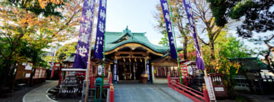 須賀神社の社殿