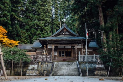 気多若宮神社の拝殿と石段