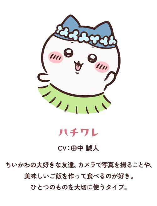 第2位:ハチワレ