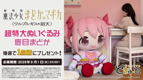 どきゅーと 超特大ぬいぐるみ 鹿目まどか 予約開始記念キャンペーン