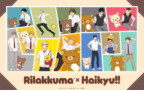 リラックマ×ハイキュー!! 画像1
